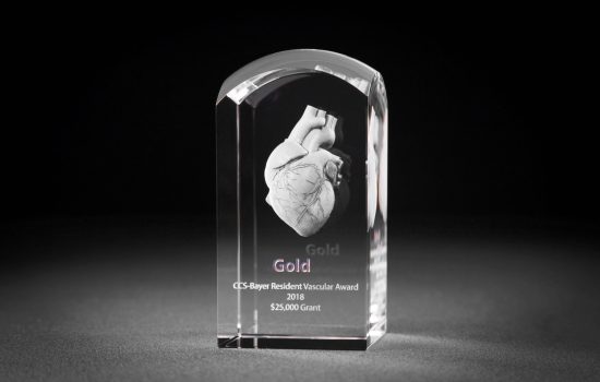 10DSB0W Bayer Resident Vascular Award subsurface laser engrave